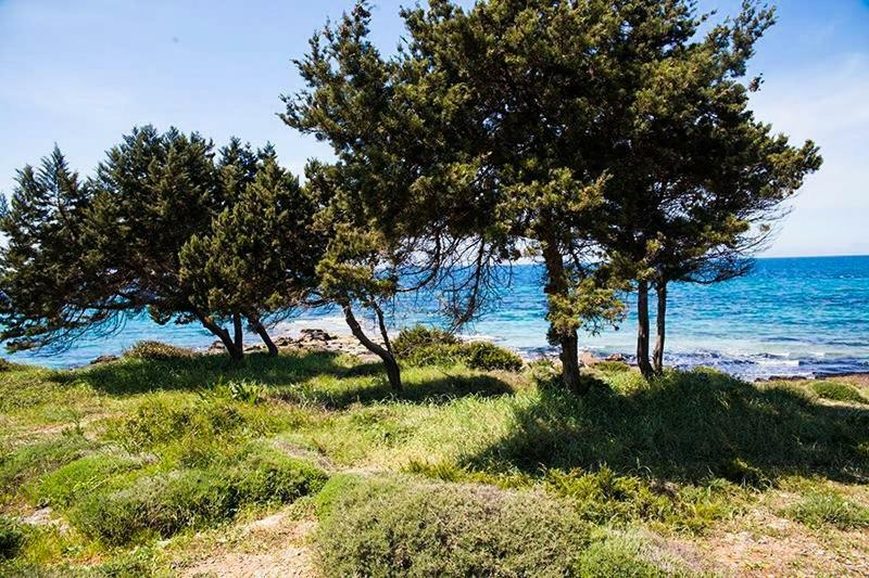 A House Between Ancient Olympia And The Ionian Sea Levendokhórion 外观 照片