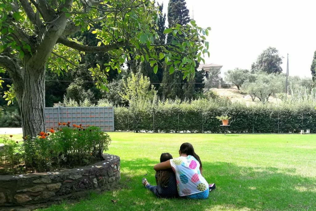 A House Between Ancient Olympia And The Ionian Sea Levendokhórion 外观 照片