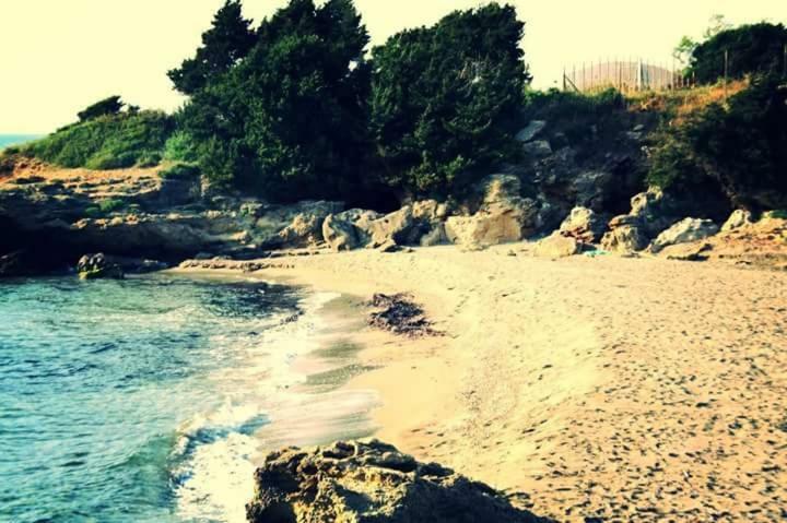 A House Between Ancient Olympia And The Ionian Sea Levendokhórion 外观 照片
